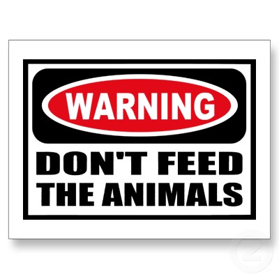 warning_dont_feed_the_animals.jpg