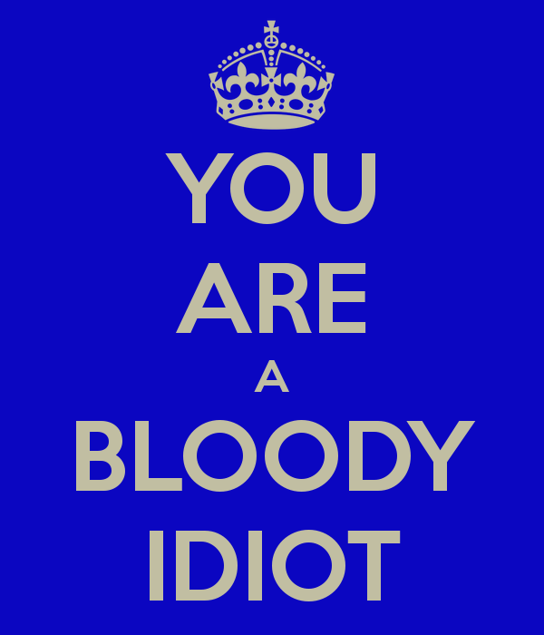 you-are-a-bloody-idiot_002.jpg