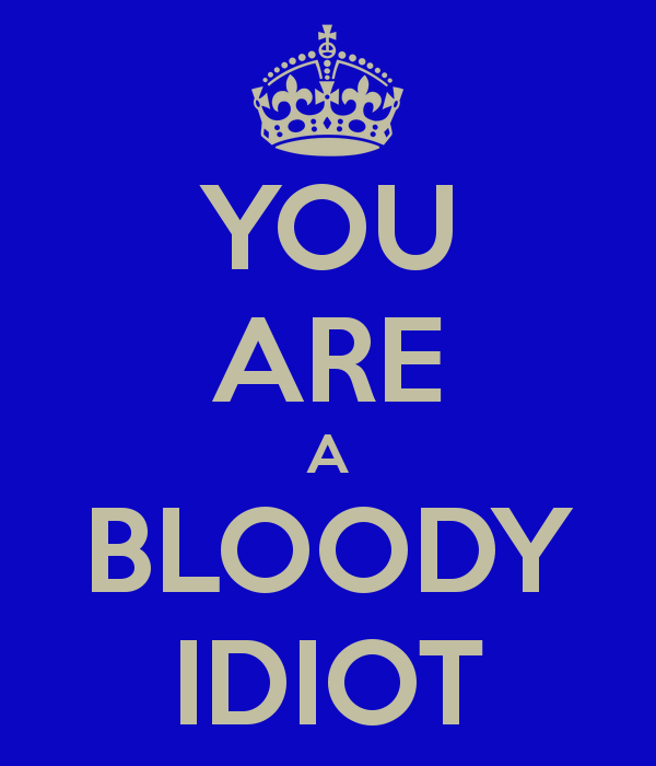 you-are-a-bloody-idiot_004.jpg