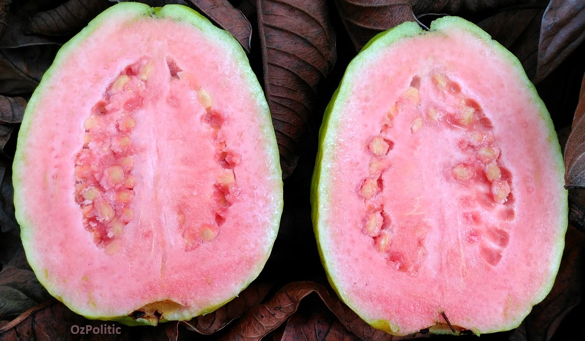 Cut Guava Fruit